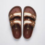 Cinnamon Canvas