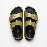 Golden Olive