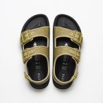 Golden Olive