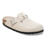 New Dressy Oyster