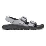 Oasis Whale Gray