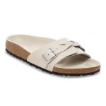 New Dressy Oyster