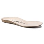 Sandshell/Creme