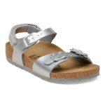 Electric Metallic Silver
